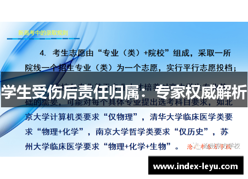 学生受伤后责任归属：专家权威解析