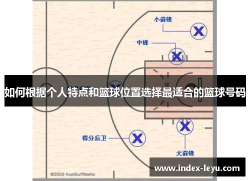 如何根据个人特点和篮球位置选择最适合的篮球号码