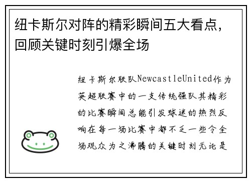 纽卡斯尔对阵的精彩瞬间五大看点，回顾关键时刻引爆全场