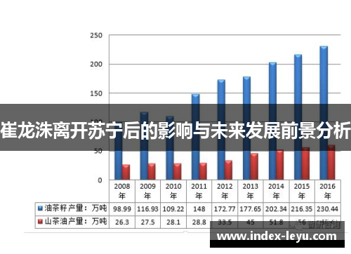 崔龙洙离开苏宁后的影响与未来发展前景分析