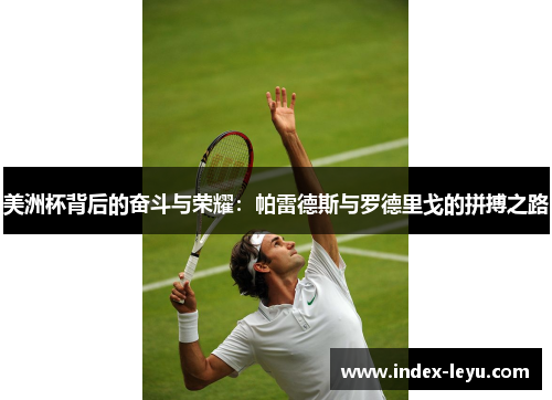 美洲杯背后的奋斗与荣耀：帕雷德斯与罗德里戈的拼搏之路