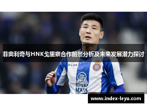 菲奥利奇与HNK戈里察合作前景分析及未来发展潜力探讨 菲奥利奇与HNK戈里察合作前景分析及未来发展潜力探讨
