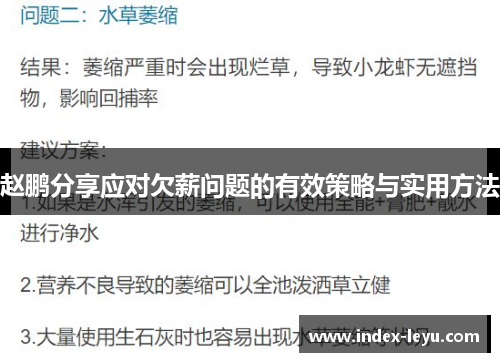 赵鹏分享应对欠薪问题的有效策略与实用方法 赵鹏分享应对欠薪问题的有效策略与实用方法