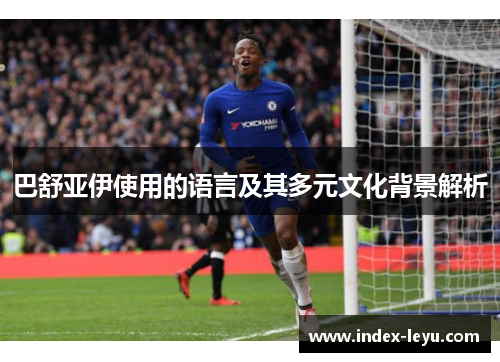巴舒亚伊使用的语言及其多元文化背景解析 巴舒亚伊使用的语言及其多元文化背景解析