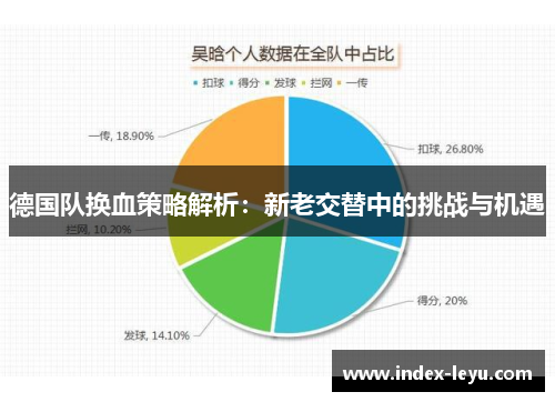 德国队换血策略解析：新老交替中的挑战与机遇