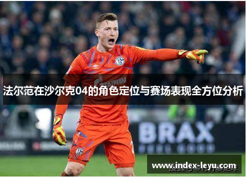 法尔范在沙尔克04的角色定位与赛场表现全方位分析