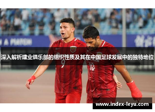 深入解析建业俱乐部的组织性质及其在中国足球发展中的独特地位