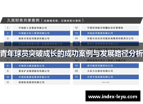 青年球员突破成长的成功案例与发展路径分析 青年球员突破成长的成功案例与发展路径分析
