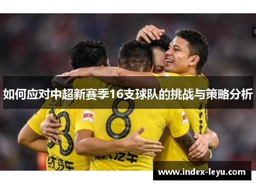 如何应对中超新赛季16支球队的挑战与策略分析