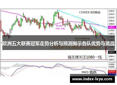 欧洲五大联赛冠军走势分析与预测揭示各队优势与挑战
