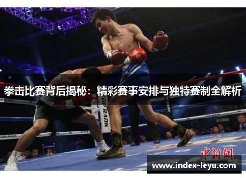 拳击比赛背后揭秘：精彩赛事安排与独特赛制全解析