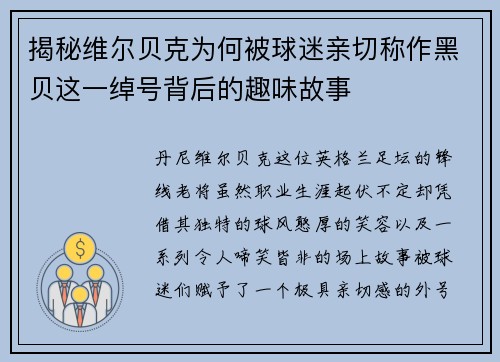 揭秘维尔贝克为何被球迷亲切称作黑贝这一绰号背后的趣味故事